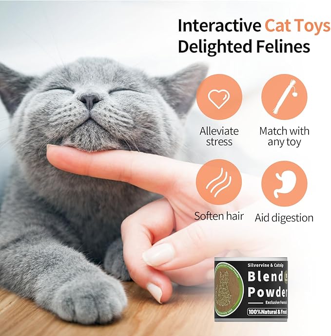 Catnip &amp; Silvervine Powder – 15g Blend of Silver Vine Gall Fruit &amp; Pure Catnip, Non-Addictive, Suitable for All Cat Ages, Multi-Play Use for Cat Toys, Scratchers &amp; Protecting Furniture