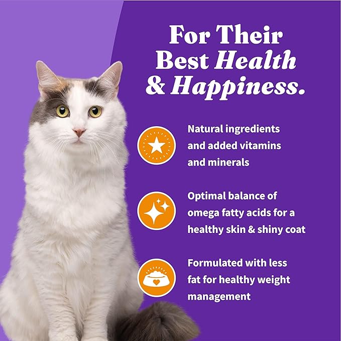 Halo Holistic Cage Free Chicken Cat Food, Grain Free Dry Cat Food, For Healthy Weight Support, Kibble for Indoor Cats, 3 lb Bag