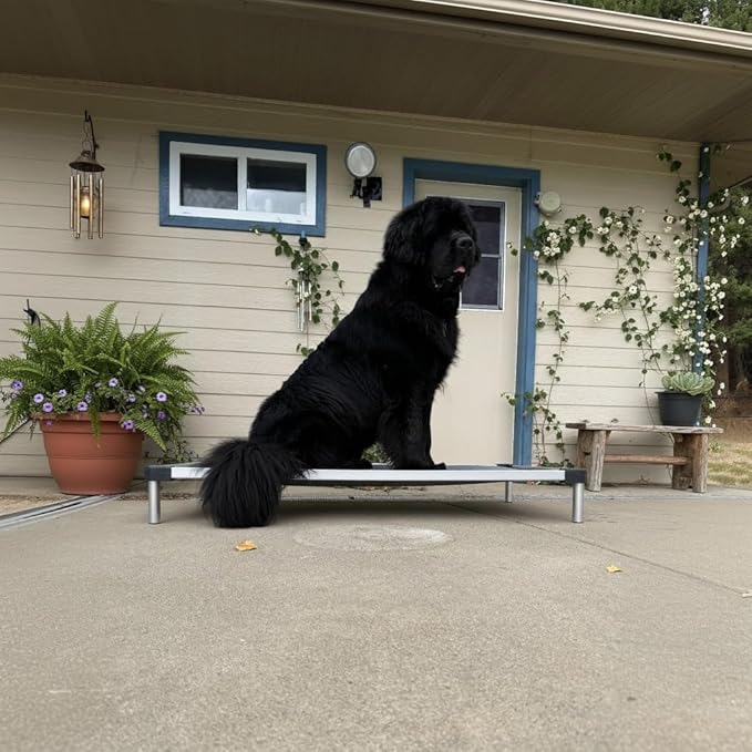 FXW TitanNest Chew-Proof Elevated Dog Bed, Raised Cot for Indoor/Outdoor/Camping Use, Durable &amp; Washable Padded Pet Bed for Large Dogs, 50.0" L x 31.0" W x 7.3" H, Gray