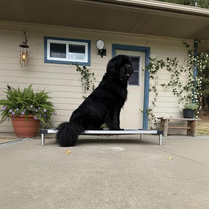 FXW TitanNest Chew-Proof Elevated Dog Bed, Raised Cot for Indoor/Outdoor/Camping Use, Durable &amp; Washable Padded Pet Bed for Large Dogs, 50.0" L x 31.0" W x 7.3" H, Gray
