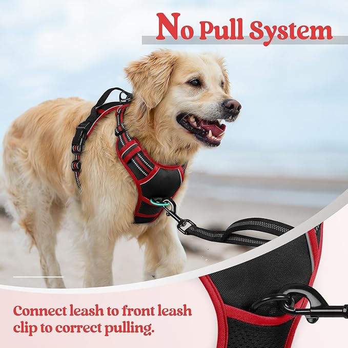 rabbitgoo Dog Harness No Pull with 2 Leash Clips, Adjustable Soft Padded, Reflective Oxford No Choke Pet Vest with Easy Control Handle for Small Dogs, Black &amp; Red, S