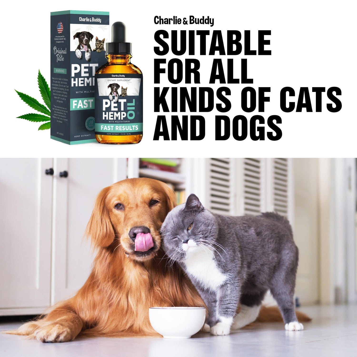 Hemp Oil for Dogs &amp; Cats Anxiety Pain Stress &amp; Sleep Support