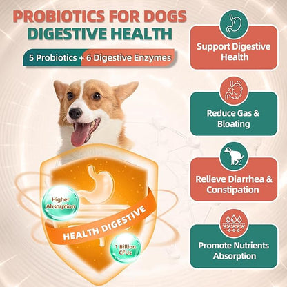 Dog Multivitamin with Glucosamine, Omega 3, Minerals, Probiotics and Enzymes, Dog Vitamins and Supplements for Joint, Skin &amp; Coat Care, Digestive and Immune Health, Chicken Flavor - 120 Chews