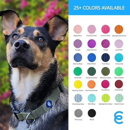 Blueberry Pet Essentials Large Dog Collar | Adjustable Nylon Dog Collar for Large Dogs | Fired Brick | Stylish Large Boy Dog Collar | Secure Puppy Collar | Dog Collars for Small Dogs &amp; More
