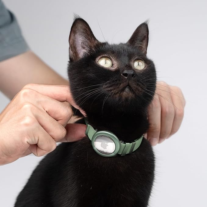 Safety Cat Collar - U.S. IDA Gold Awarding Design, Stretch Non Breakaway Elastic Quick Release, Light Weight Adjustable for Kitten, Neck Fit 7.8&