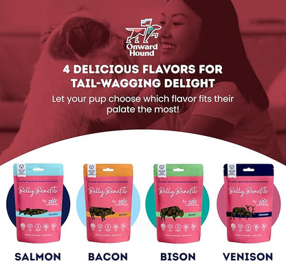 Training Treats for Dogs - Soft Bacon - Low Calorie Dog Training Treats for Sensitive Stomachs with Single Source Premium Protein, Corn Free, &amp; Soy Free Formula - 10 oz