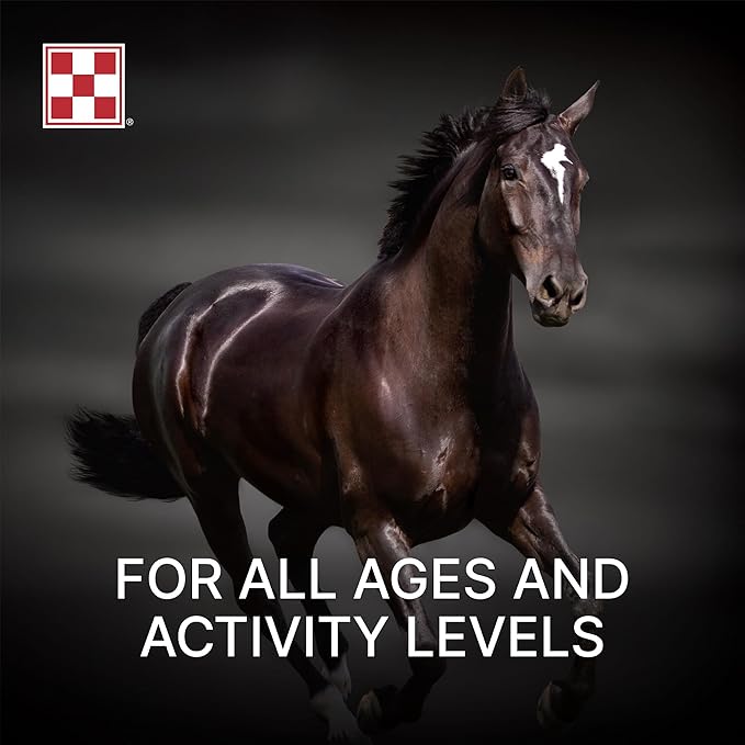 Purina, Amplify Equine, High-Fat Horse Supplement for Maintenance, Breeding, &amp; Performance Horses, 50 lbs