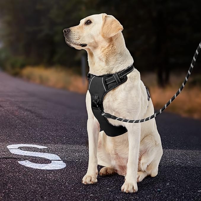 IVY&amp;LANE No Pull Dog Harness for Large Dogs, Dog Vest Harness with Leash, Safety Belt and Storage Strap, Fully Adjustable Harness, 360° Reflective Strip, Soft Handle (Black, XL)