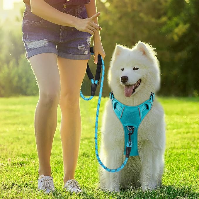 BARKBAY Dog Harness No Pull with ID Tag Pocket - Heavy Duty, Reflective, Easy Control for Large Dogs(Ocean Blue,L)
