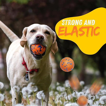 Tough Dog Toys for Aggressive Chewers &amp; Teething Puppies, Bouncy Balls for Medium Dogs, Durable Pet Toys, Floating Dog Balls for Water Play (Orange-Blue-Set)