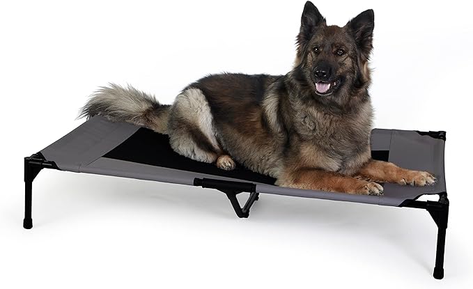 K&amp;H Pet Products Outdoor Elevated Dog Cot, Breathable Cooling Elevated Cot Hammock Pet Bed for XL Dogs, Washable Mesh Cover, Raised Metal Frame, Collapsible, Portable - Extra-Large 50 X 32 Charcoal