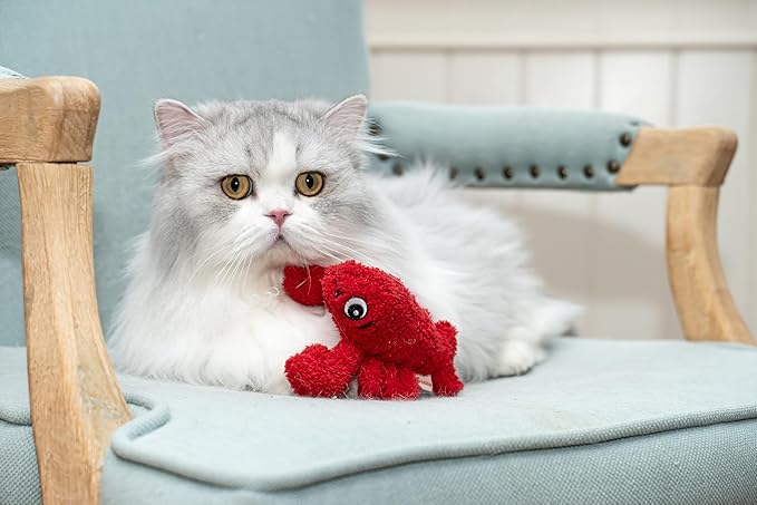 Interactive Catnip Cat Plush Toy, Ocean Theme, 5&