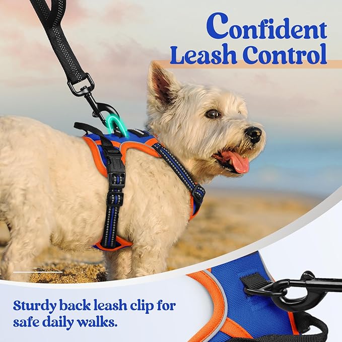 rabbitgoo Dog Harness No Pull with 2 Leash Clips, Adjustable Soft Padded, Reflective Oxford No Choke Pet Vest with Easy Control Handle for Puppy, Blue &amp; Orange, XS