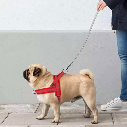 Didog No Pull Dog Harness with Breathable Mesh Padded, Full Reflective &amp; Quick Fit Adjustable Vest Harness, Easy for Training Walking for Small &amp; Medium and Large Dogs (Red, L:Chest 26-32")