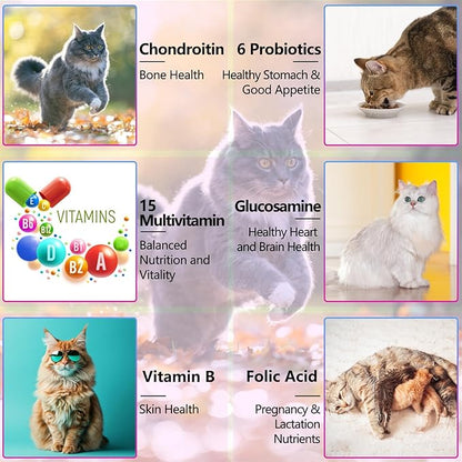 2PCS Liquid Multivitamin for Cat, 15 in 1 Cats Multivitamin Liquid Drops Supplements for Skin &amp; Coat, Heart Health, Bones and Joint, Cat Vitamins with Glucosamine and MSM, Immune System Support