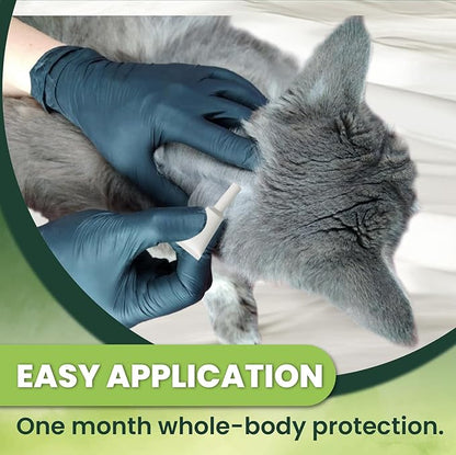 Flea and Tick Prevention for Cats: Flea &amp; Tick Topical for Cats Over 1.5lbs, 6 Dose Flea and Tick Control/Prevention for 6 Months (6 Pack)