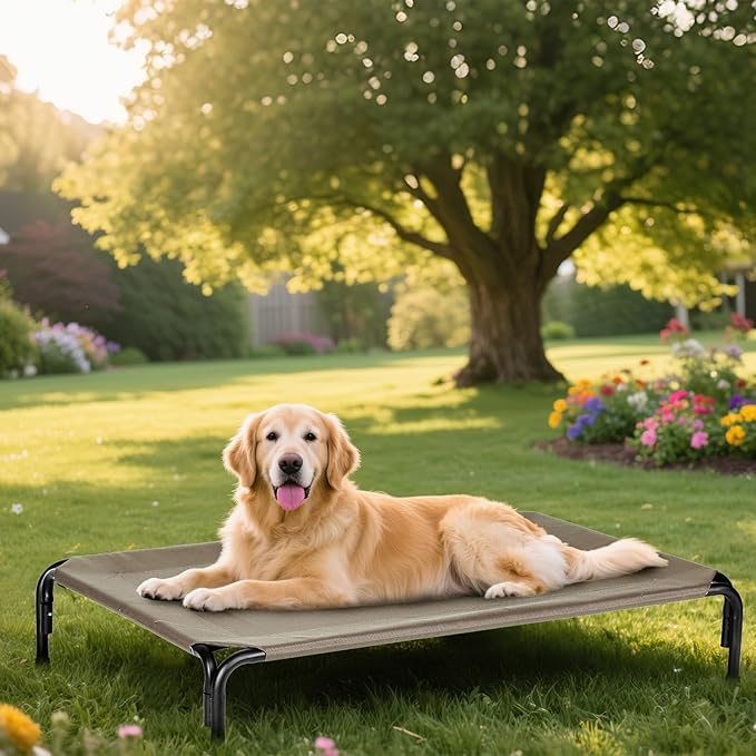 Elevated Dog Bed Outdoor, Medium Raised Cooling Dogs Cot, Lifted Pet Beds with Durable Breathable Teslin Mesh, Pet&