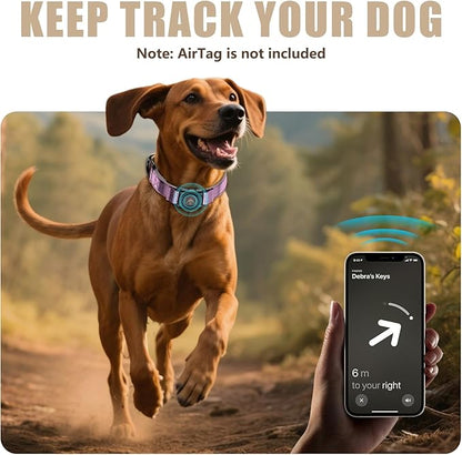 AirTag Dog Collar - Leather Dog Collar with Airtag Holder | IP68 Waterproof AirTag Holder with Metal Buckle, Comfortable GPS Dog Collars Tracker for Medium Large Dogs (Rose Gold, L)