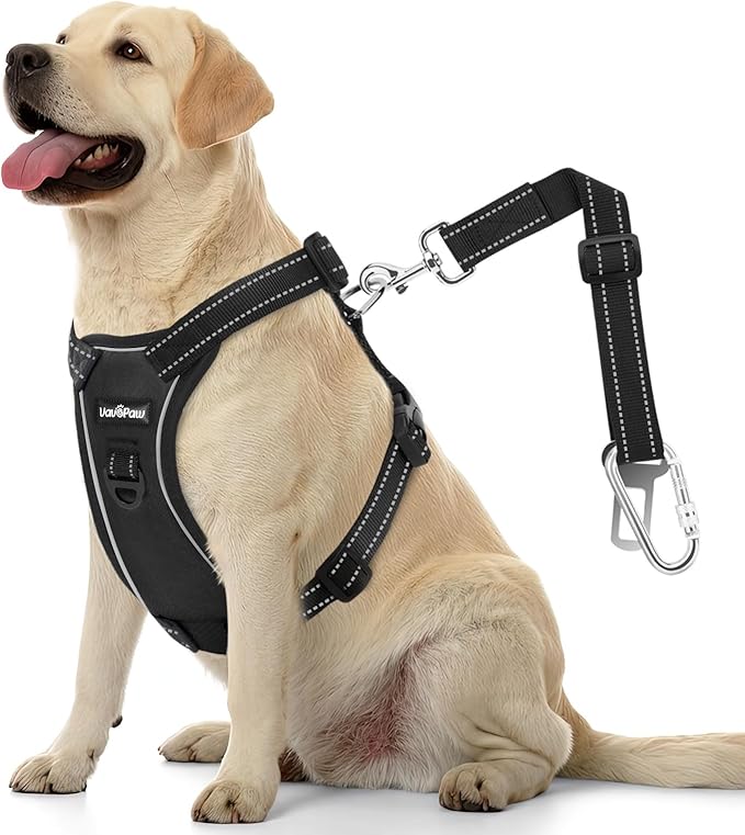 Dog Seat Belt Harness for Car, Dog Car Harness Adjustable Mesh Breathable &amp; Dogs Seatbelt Safety Tether with Elastic Bungee for Small Medium Large Pets(Carbon Black, XL)