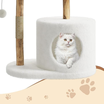 Modern Wood Cat Tree Tower for Large Cats | Luxury Solid Pear Wood Condo with Platforms, Scratching Posts &amp; All-Season Mats, 43" Aesthetic Cat Furniture, 2 Branch