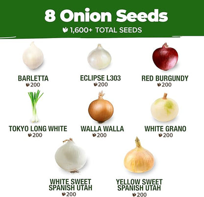 HOME GROWN 𝗨𝗦𝗔 𝗣𝗥𝗘𝗠𝗜𝗨𝗠 8 Onion Seeds for Planting – 1,600 Heirloom 𝗡𝗢𝗡-𝗚𝗠𝗢 Vegetable Seeds – Grow Sweet, Yellow, Red, Spanish, Green &amp; Vidalia Onions in Outdoor or Indoor Home Garden
