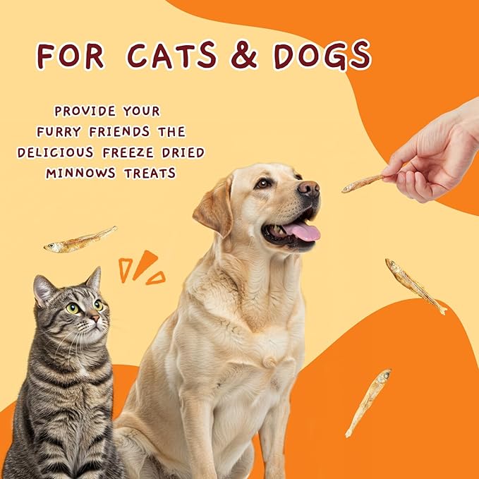 Jungle Calling Freeze Dried Minnows for Cats &amp; Dogs, Single Ingredient Fish Cat &amp; Dog Treats, High Protein Grain Free Pet Training Snacks, 2 oz