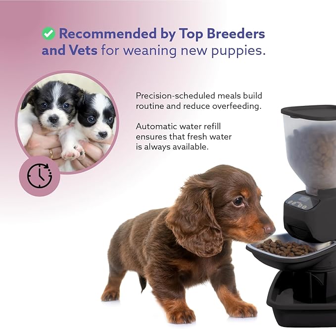 Automatic Dog &amp; Cat Food Feeder with Water Dispenser – Smart Pet Feeder with Portion Control, OLED Display, Anti Jam Design, Battery Operated Dispenser for Small Pets - Black
