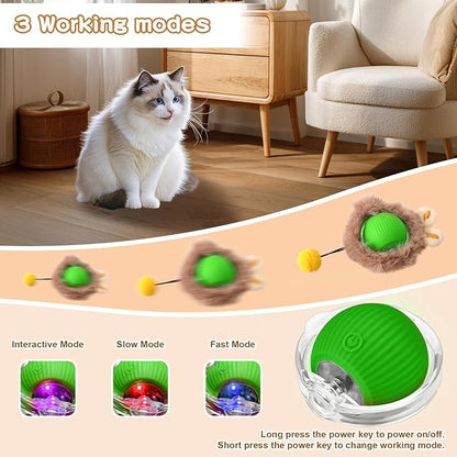 Rocfish Interactive Cat Toys Ball - Automatic Fast Rolling Ball in Play Mat, Hide and Seek Mouse Catching Game, Low-Noise Cat Enrichment Toys in Pouch for Indoor Bored Cats (Green Toy &amp; Square Mat)