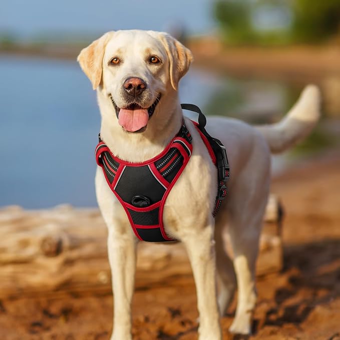 rabbitgoo Dog Harness No Pull with 2 Leash Clips, Adjustable Soft Padded, Reflective Oxford No Choke Pet Vest with Easy Control Handle for Large Dogs, Black &amp; Red, XL