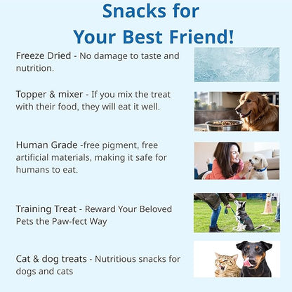 Puppyluv Treat - Freeze Dried Capelin Dog &amp; Cat Treats, Rich Fish Oil with Omega 3 Fatty Acides to Support Skin and Coat, Whole Fish, Grain Free, 2.3oz