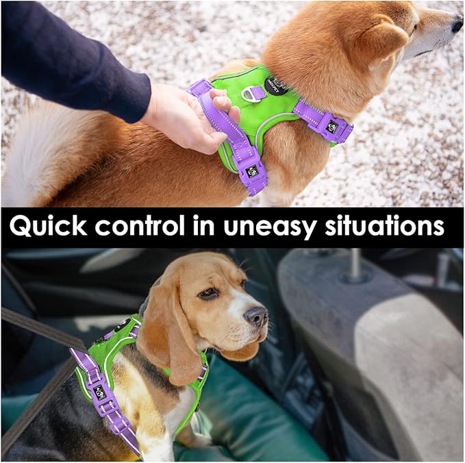 PHOEPET No Pull Dog Harness, Unique Colors Reflective Adjustable Dog Vest, with Soft Training Handle Metal Clips for Small Medium Large Dogs (Green Base &amp; Purple Straps,XL)