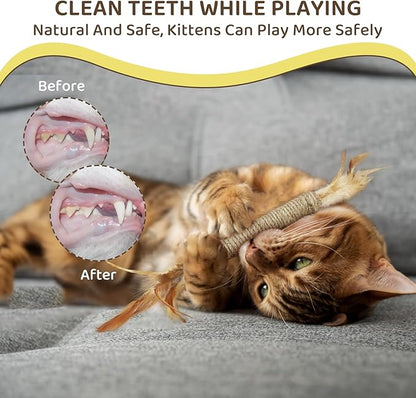 Catnip for Cats,Interactive Silvervine Sticks for Cats, Loofah Chew Cat Toys for Indoor Cats &amp; Kitten Teething Toys &amp; Cat Chew Toy,6 Pack