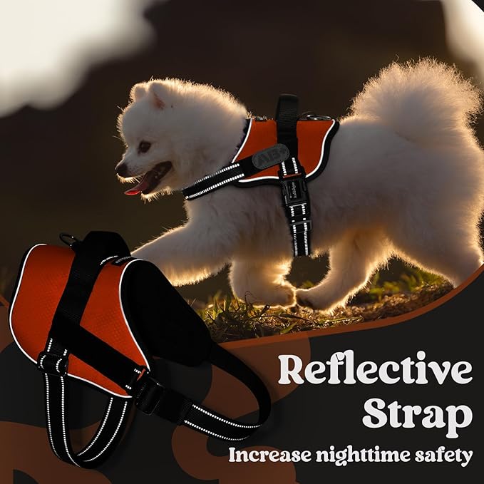 rabbitgoo Dog Harness for Small, Easy On Pet Vest with One Buckle, No Pull Adjustable Service Harness with D-Ring &amp; Handle, Reflective for Safety Walking, Training, Orange, S