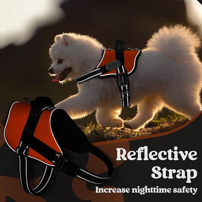 rabbitgoo Dog Harness for Small, Easy On Pet Vest with One Buckle, No Pull Adjustable Service Harness with D-Ring &amp; Handle, Reflective for Safety Walking, Training, Orange, S