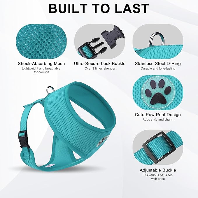 BINGPET No Pull Dog Harness,All Weather Mesh Step-in Vest Harness for Small Dogs,Breathable Mesh Puppy &amp; Cat Harness