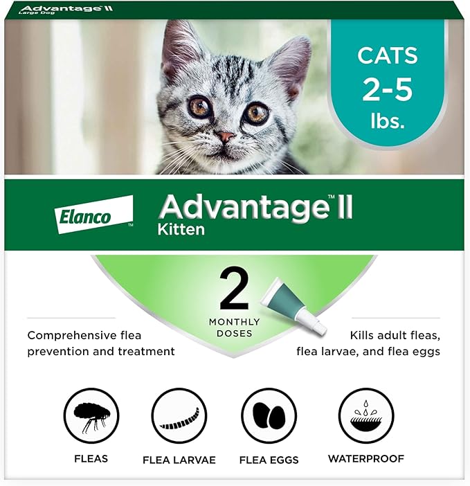 Advantage II Kitten Vet-Recommended Flea Treatment &amp; Prevention | Cats 2-5 lbs. | 2-Month Supply