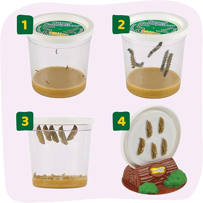 Insect Lore Butterfly Farm - Live Cup of 5 Caterpillars, Reusable Habitat, STEM Butterfly Activity Journal &amp; Supplies - Grow, Observe and Release Painted Lady Butterflies