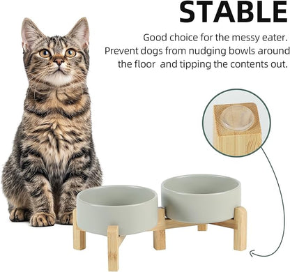 Ceramic Raised Double Bowls Set with Stand, 2 Heights Elevated, Food &amp; Water Bowls for Small Breed Dogs, Cats, Kitty, Weighted Dog Dishes, Pet Bowls(5.1&