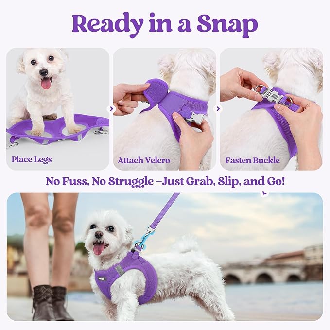 rabbitgoo Dog Harness Small Sized and Leash Set, Step in Soft Light Puppy Vest, Breathable Mesh Pet Harness, Reflective for Safe Outdoor Walking, Purple XS