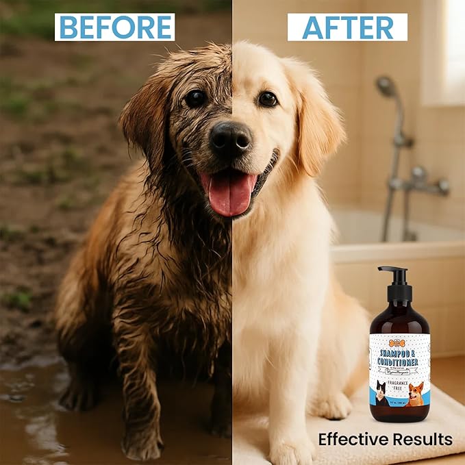 POM Pets 2-in-1 Organic Dog Shampoo &amp; Conditioner – Itchy Skin Relief, Dog Deshedding, Detangles Fur, Cat Shampoo, Paw Cleaner for Dogs, Natural Coat Defense Formula
