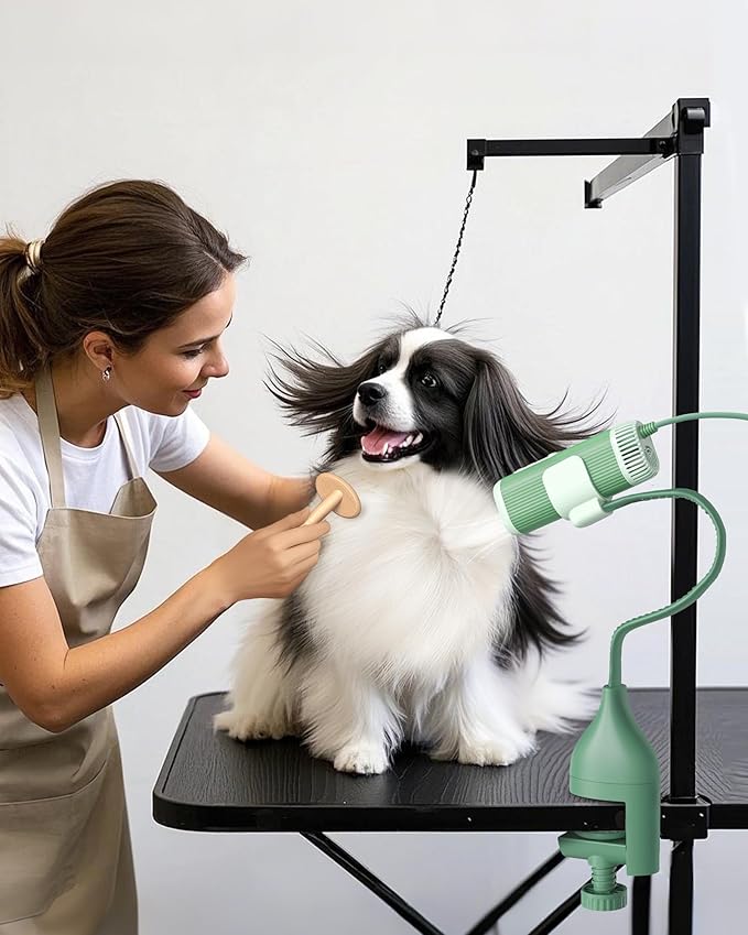 L&amp;W BROS. 2-in-1 Pet Hair Dryer with Clamp Stand – Wearable &amp; Hands-Free Dog Grooming Dryer, 950W Low Noise Blower with 5 Heat &amp; 3 Speed Settings, for Small to Medium Pets (Green)