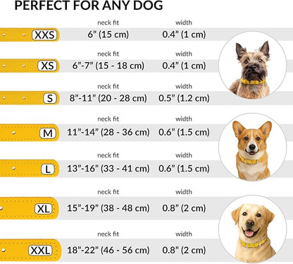 CollarDirect Rolled Leather Dog Collar, Soft Padded Round Puppy Collar, Handmade Genuine Leather Collar Dog Small Large Cat Collars 13 Colors (18-22 Inch, Yellow Textured)