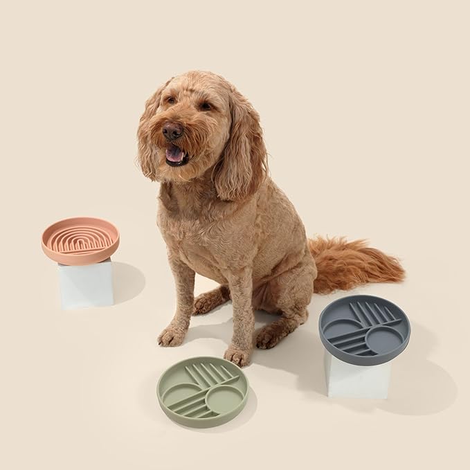 The Slowdown Bowl Silicone Slow Feeder for Dogs &amp; Puppies, Slow Eating Modern Lick Mat Design Reduces Gulping, Fits 2 Cups 7.5” Across x 1.5” Tall, Mealtime Challenge, Medium-Sage