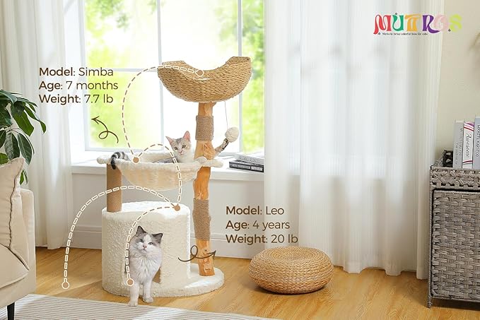 Modern Cat Tree for Large Cats, Wood Cat Tower for Indoor Cats, Real Branch Luxury Cat Furniture with Super Large Cozy Condo and Hammock &amp; Scratching Post, Top Basket, White