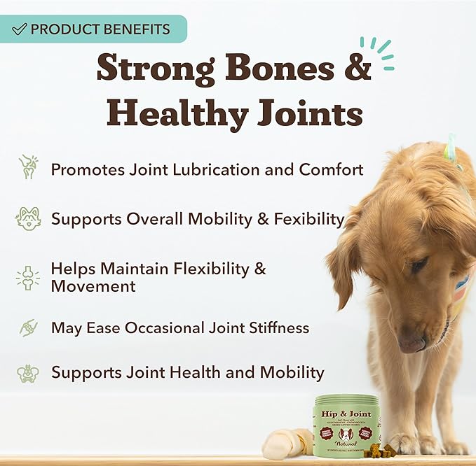 Natural Dog Company Hip &amp; Joint Chews, Chicken Liver &amp; Turmeric Flavor, with Glucosamine Chondroitin for Dogs, Maintains Bone and Joint Health, Supplements for Seniors and Puppies, 90 Count