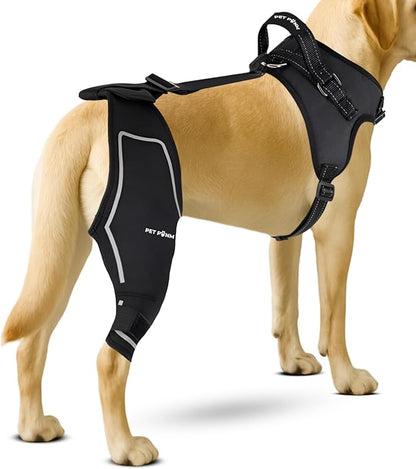 Petpanm- Adjustable Dog Knee Brace- Right Hind Leg with Integreted Harness- Premium Support for Torn ACL, Sprains &amp; Strains Recovery, Enhances Mobility, Comfortable Neoprene- (Small)