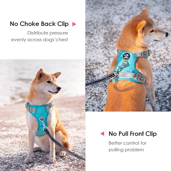 PHOEPET No Pull Dog Harness, Unique Colors Reflective Adjustable Dog Vest, with Soft Training Handle Metal Clips for Small Medium Large Dogs (Mint Green Base &amp; Grey Straps,XL)