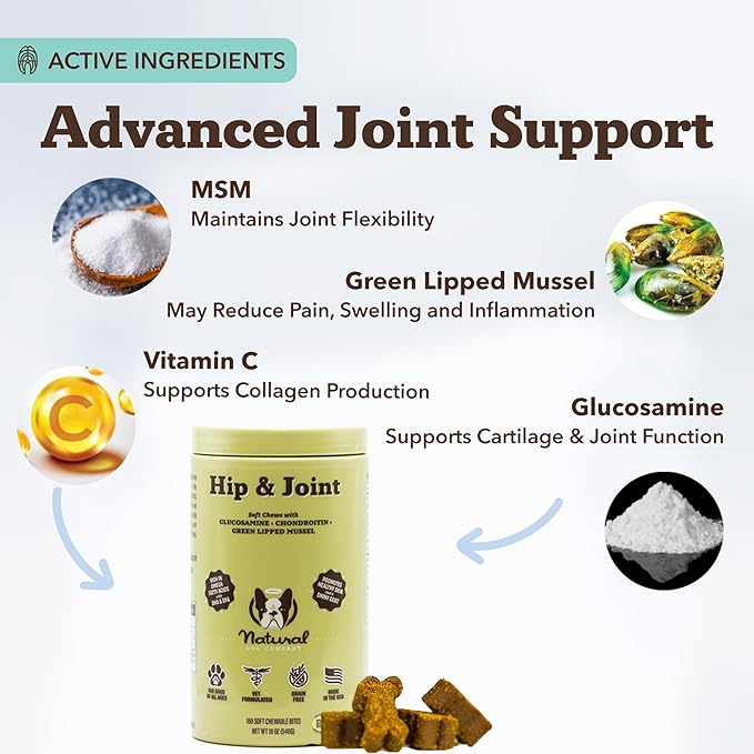 Natural Dog Company Hip &amp; Joint Chews for Dogs with Glucosamine for Dogs + Chondroitin, MSM &amp; Turmeric, Supports Mobility &amp; Reduces Discomfort, Stiffness, Natural Pain Relief Joint Supplement. 180 Ct