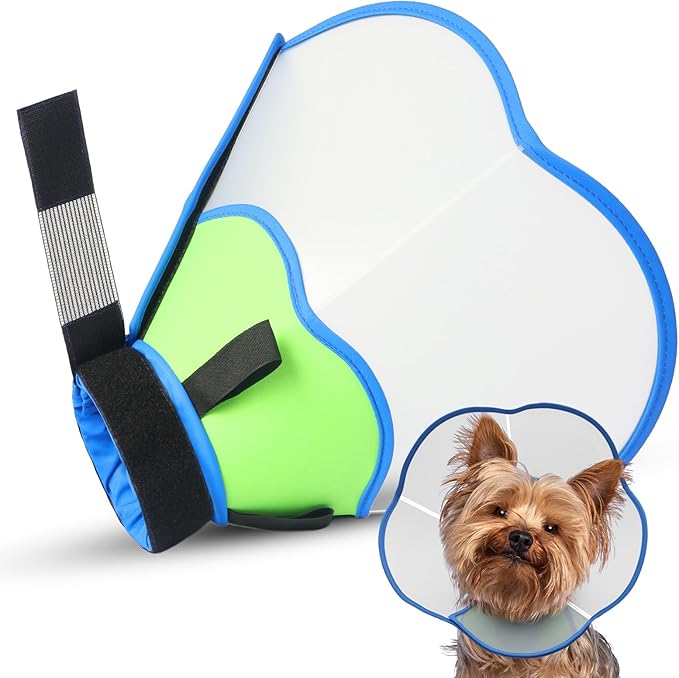 Hard &amp; Heavy Plastic Dog Cone Collar Alternative for Small Dogs (Yorkshire Pomeranian), Pet Neck Head Protective Cone Anti-Lick, Adjustable Elizabethan Recovery Collar Cone of Shame for Healing