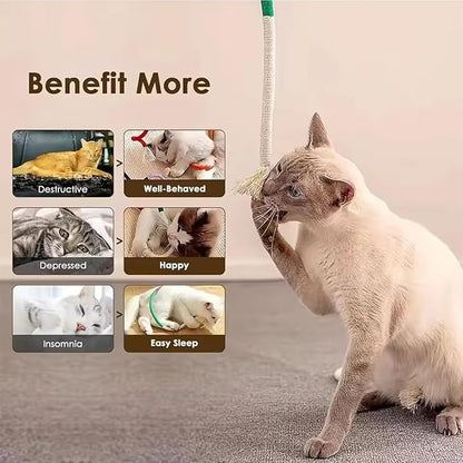 Celery Pets Cat Chew Rope,Catnip-Infused Organic Cotton Chew Rope Toys for Cats, Soft &amp; Safe Dental Chew Toys for Indoor Cats, Self-Play and Teeth Cleaning (3PCS)